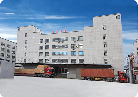 Trang web của chúng tôi đang trực tuyến